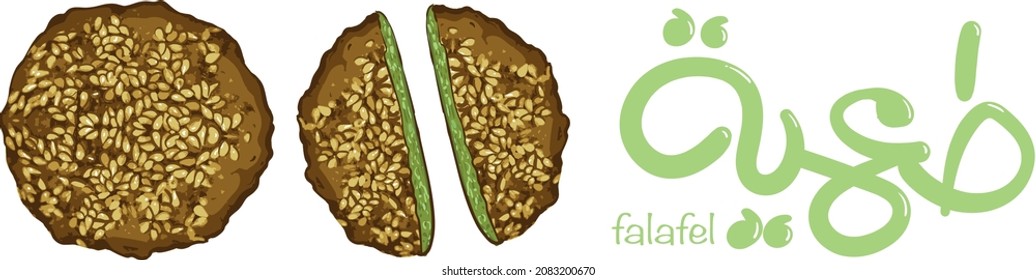 falafel cartoon illustration vector an egyptian breackfast