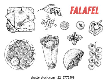 Falafel cooking and ingredients for falafel, sketch illustration. Middle eastern cuisine collection. Street food, design elements. Hand drawn, menu and package design. Vegan food