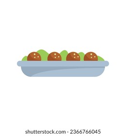 Falafel food icon flat vector. Cooking pita. Fresh wrap isolated