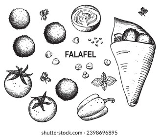 Falafel hand drawn vector engraved illustration. Vegetarian food, oriental cuisine. Design with chickpea balls shawarma with falafel, tomatoes, greenery, hummus, groundnuts. For menu, card, print, web