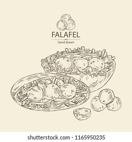 Falafel in pita with vegetables: falafel, pita, tomato, lettuce and olives. Vegetarian fast food. Vector hand drawn illustration