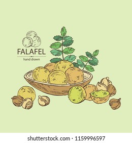 Falafel: falafel plate, chickpea bean, pod and plant . Vegetarian fast food. Vector hand drawn illustration