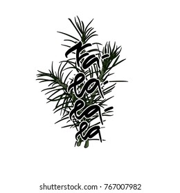 Fa-la-la-la. Hand drawn holiday lettering with fir-tree branches. Vector illustration. Typography design elements for prints, cards, posters, products packaging, branding.