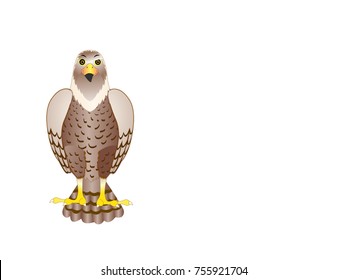 Falcon Bird - Cartoon Vector Image