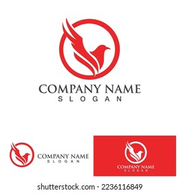 Falcon bird eagle  Logo Template vector illustration design