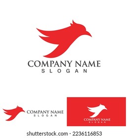 Falcon bird eagle  Logo Template vector illustration design