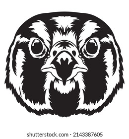 Falcon Bird face vector illustration, perfect for wildlife keeper t shirt and merchandise design 