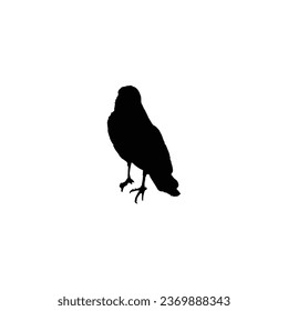 Falcon bird icon. Simple style wildlife poster background symbol. Falcon bird brand logo design element. Falcon bird t-shirt printing. Vector for sticker.