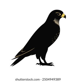 Falcon bird illustration vector design 