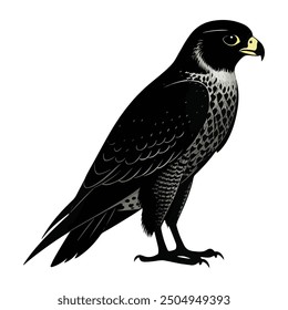 Falcon bird illustration vector design 
