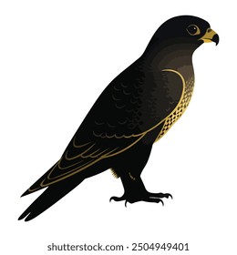 Falcon bird illustration vector design 