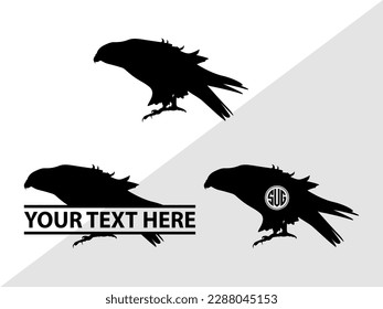 Falcon Bird Monogram Vector Illustration Silhouette