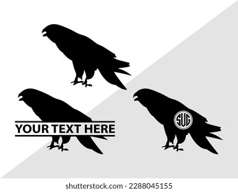 Falcon Bird Monogram Vector Illustration Silhouette