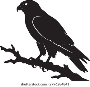 Falcon bird profile, wild raptor on tree branch graphic.
