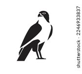 falcon bird silhouette emblem vector illustration