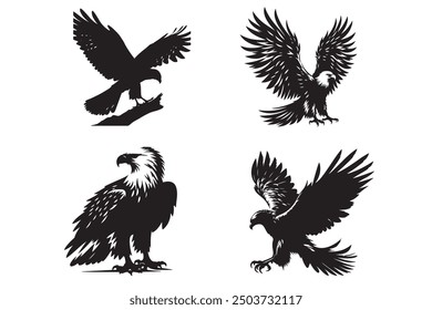 Falcon Bird Silhouette illustration Vector design 4 File