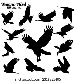 
Falcon bird silhouettes vector illustration set.