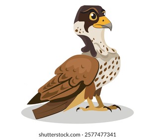 falcon in cartoon style, bird, vector illustration on a white background.