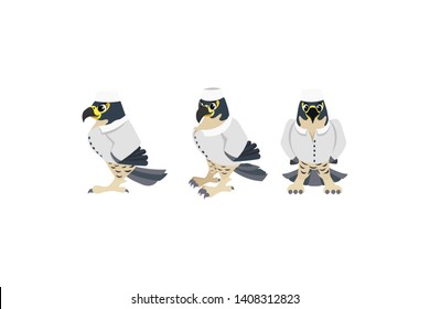 falcon from different viewing angles. doctor, specialist - vector