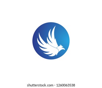 Falcon eagle bird icon logo template vector
