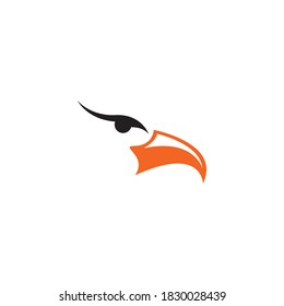 Falcon Eagle Bird illustration Logo Template vector