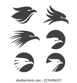 Falcon eagle bird illustration logo design