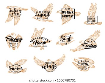 Falcon and eagle bird, isolated sketch icons. Vector hunting club symbol, american legend, falconry hawk skyhunter. Emblem with flying falcon, symbol of freedom, wild soul, winged king of sky