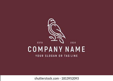 Falcon Eagle Bird Logo design vector template