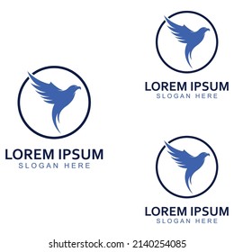 Logo de Falcon Eagle Bird e ilustración de símbolo