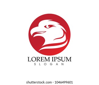 Falcon Eagle Bird Logo Template vector icon
