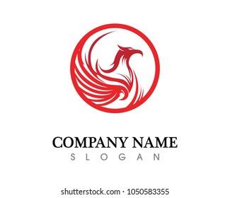 Falcon Eagle Bird Logo Template vector icon
