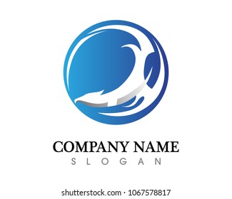 Falcon Eagle Bird Logo Template vector icon
