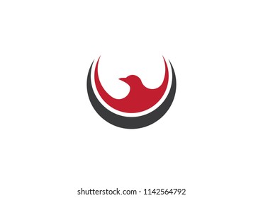 Falcon Eagle Bird Logo Template vector icon