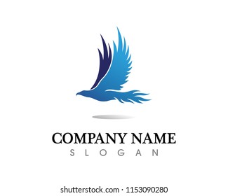 Falcon Eagle Bird Logo Template vector icon
