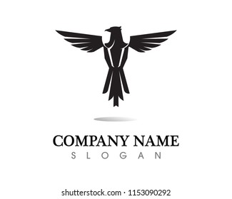Falcon Eagle Bird Logo Template vector icon