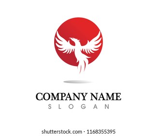 Falcon Eagle Bird Logo Template vector icon
