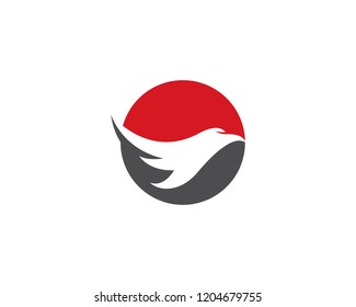 Falcon Eagle Bird Logo Template vector icon