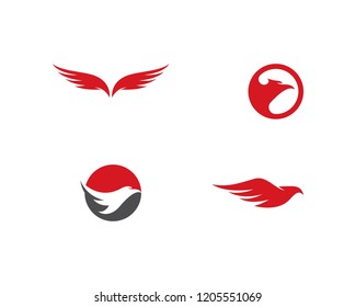 Falcon Eagle Bird Logo Template vector icon