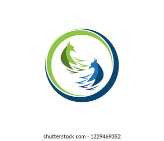 Falcon Eagle Bird Logo Template vector icon
