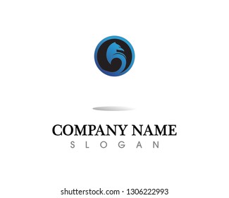 Falcon Eagle Bird Logo Template vector icon
