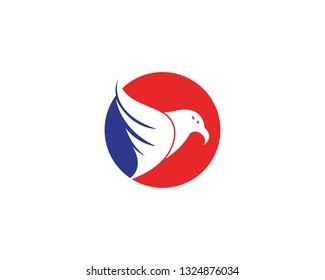 Falcon eagle bird logo template