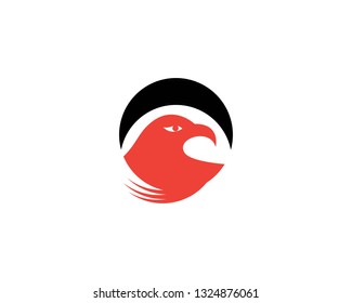 Falcon eagle bird logo template