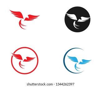 Falcon Eagle Bird Logo Template vector icon - Vector