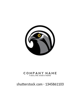 Falcon Eagle Bird Logo Template vector icon