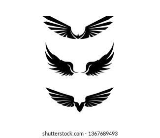 Falcon Eagle Bird Logo Template vector icon