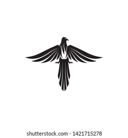 Falcon Eagle Bird Logo Template vector icon
