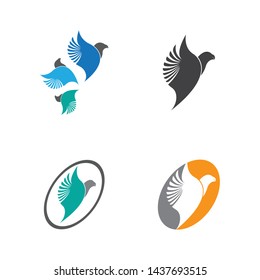 Falcon Eagle Bird Logo Template vector icon