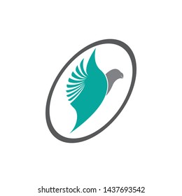 Falcon Eagle Bird Logo Template vector icon