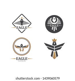 Falcon Eagle Bird Logo Template vector icon