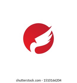 Falcon Eagle Bird Logo Template vector icon